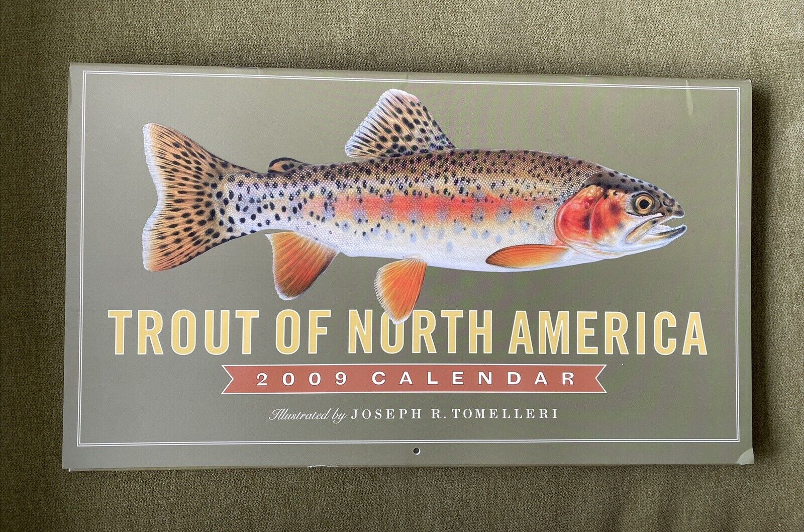 2009 Trout of North America Calendar Excellent Condition Fishing Trout Vintage