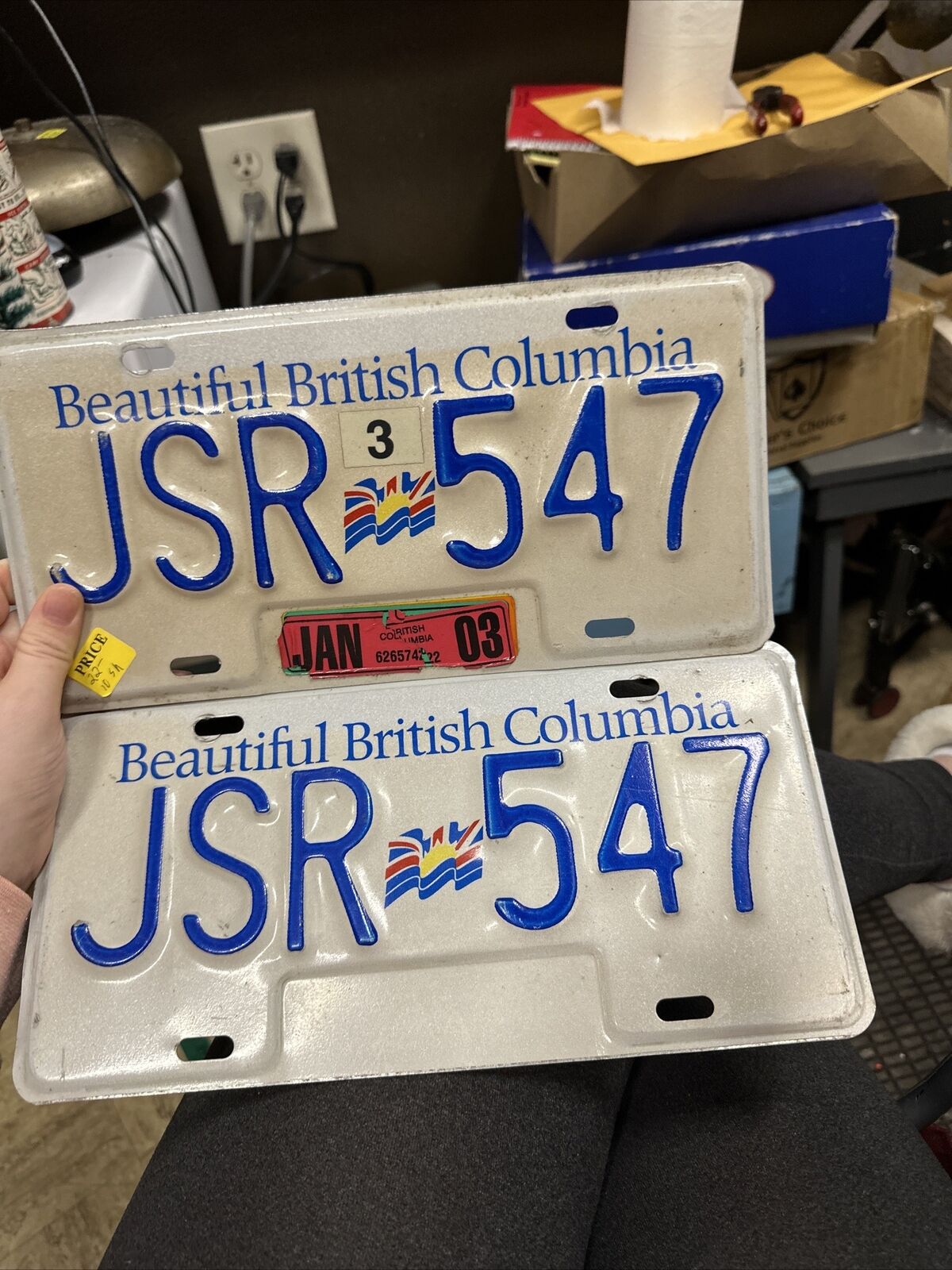 Pair Of Beautiful British Columbia License Plate JSR-547 