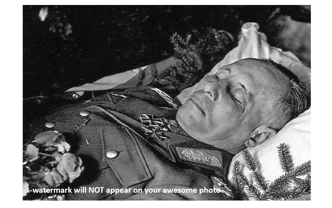 Erwin Rommel Funeral Death PHOTO World War II German Military Field Marshal