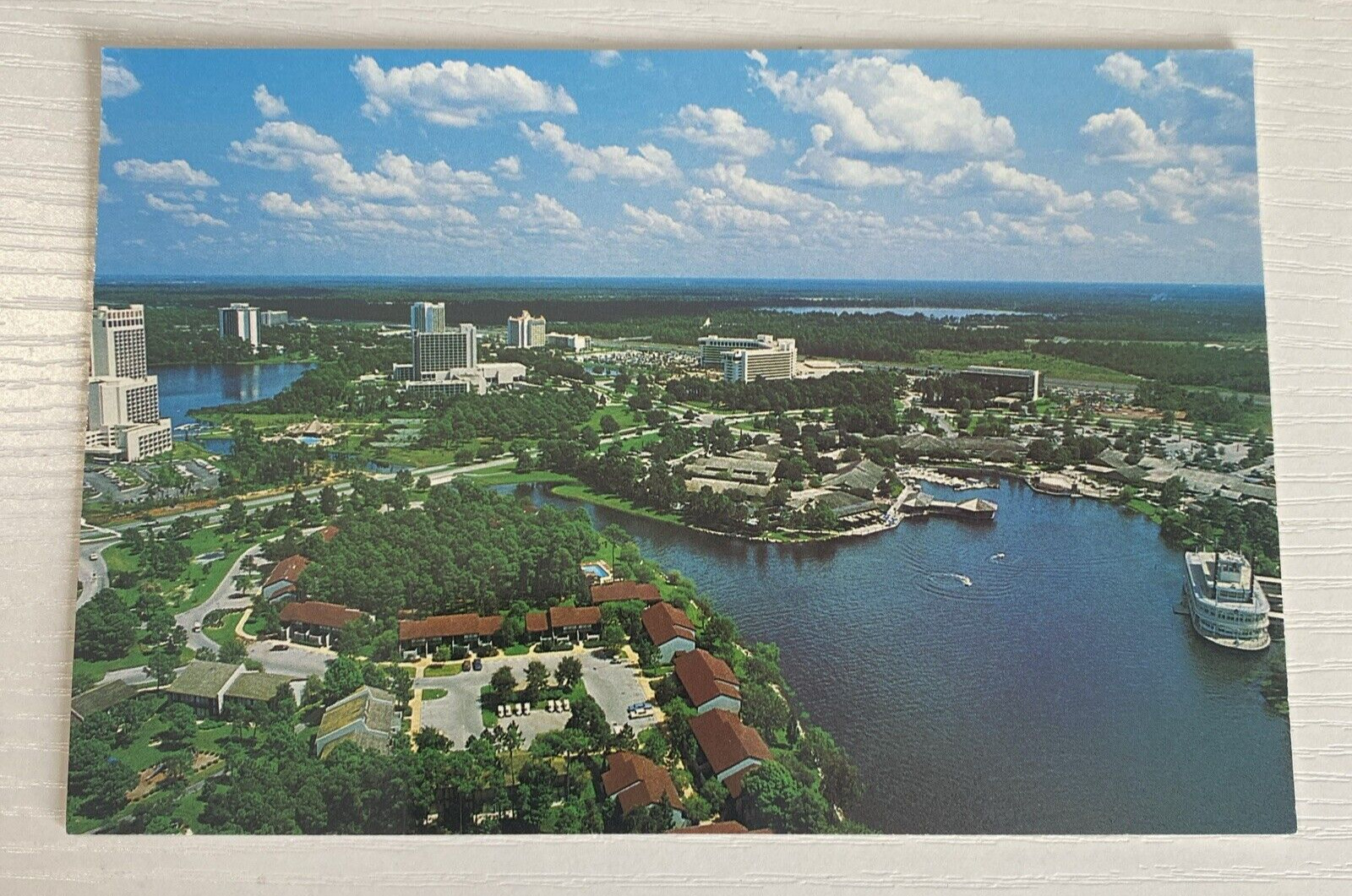 Vintage Walt Disney World Typhoon Lagoon Postcard Souvenir 