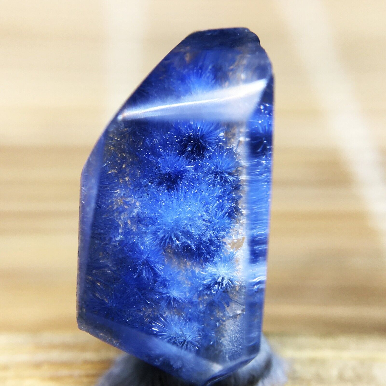 3.4Ct Very Rare NATURAL Beautiful Blue Dumortierite Quartz Crystal Specimen