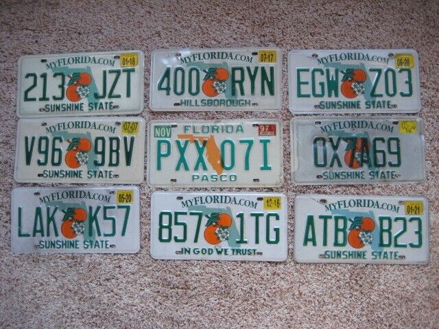 Old Vintage Expired Florida Sunshine State Orange Blossom License Plates Tag Lot
