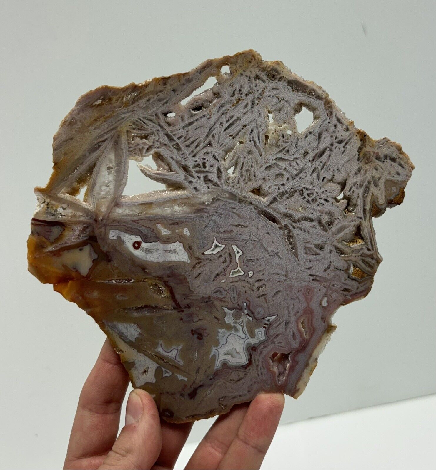 Rare Brazilian Agate x Pink Amethyst x Quartz Geode Polished Thin Slice Slab 