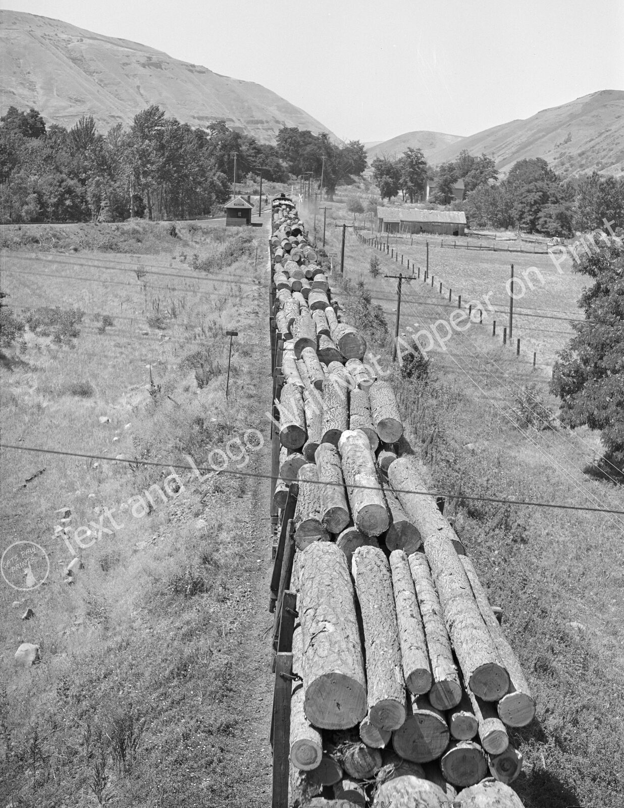 1941 Logging Train, Spalding Junction, Idaho Old Photo 8.5\