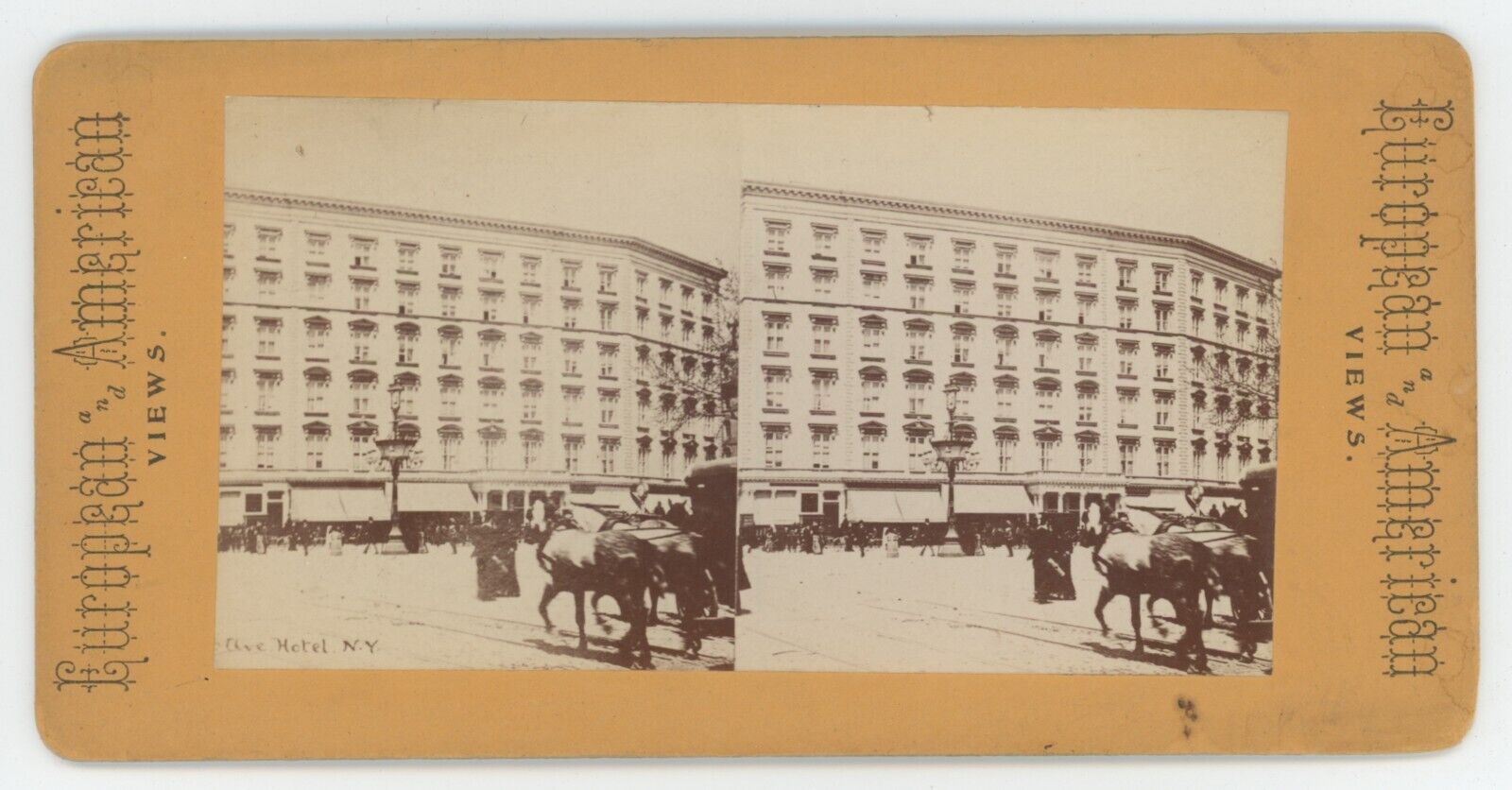 c1900's Rare Real Photo Stereoview Fifth Avenue Hotel With Horses in New York NY
