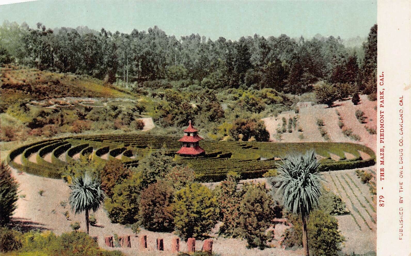 The Maze, Piedmont Park, California, Very Early Postcard, Unused 