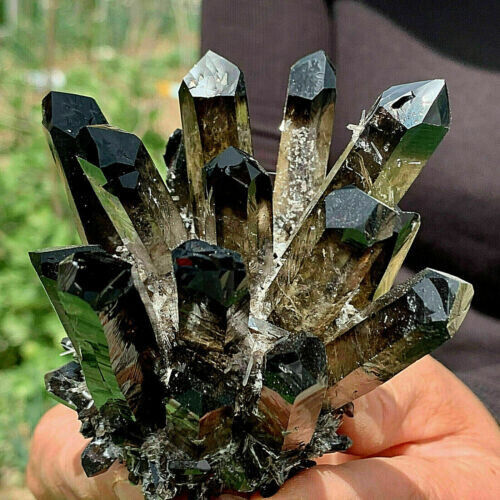 1PC New Find black Phantom Quartz Crystal Cluster Mineral Specimen Healing  Gift