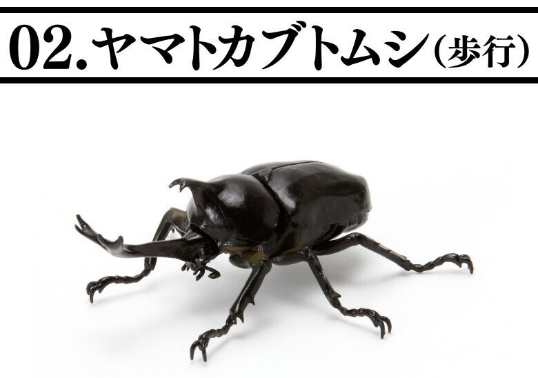 Dango Mushi Insect Mini Collection Figure Japanese Rhinoceros Beetle Walk