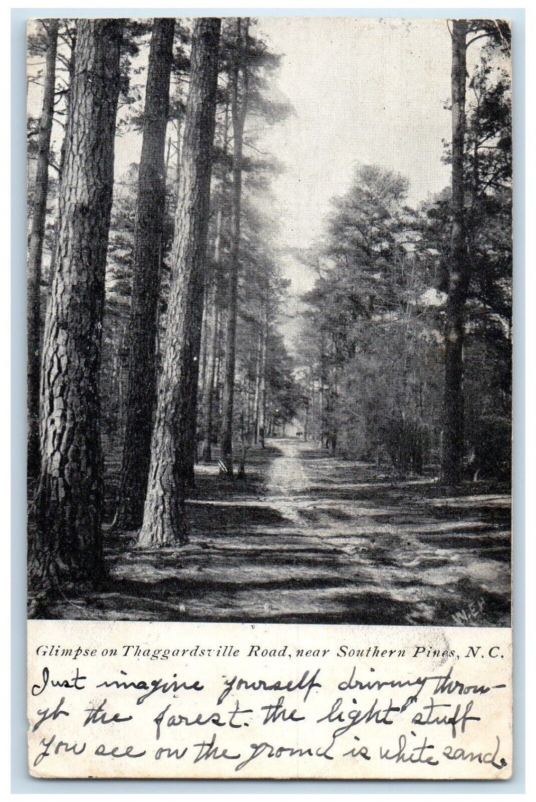 Glimpse On Thaggardsville Road Near Southern Pines NC, Harrisburg PA Postcard