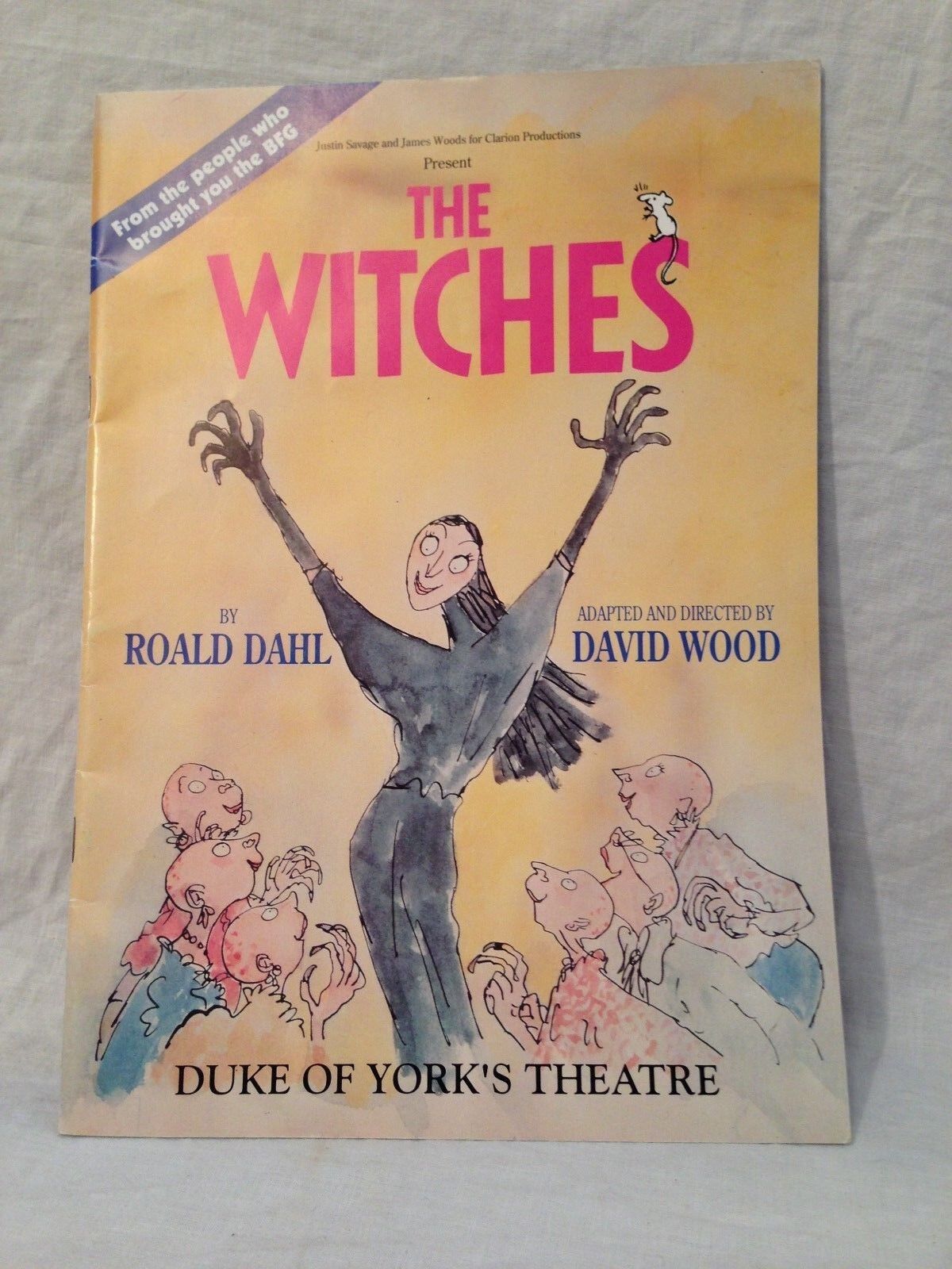 Roald Dahl / Quentin Blake - David Wood - THE WITCHES, Theatrical Programme 1992
