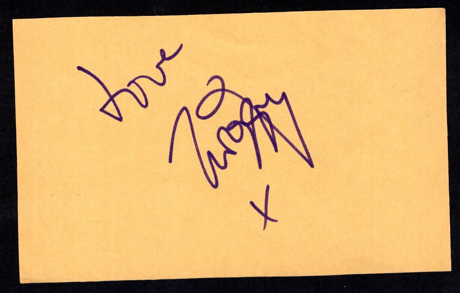 Twiggy English Supermodel Hand Signed Autograph 3x5 Cut