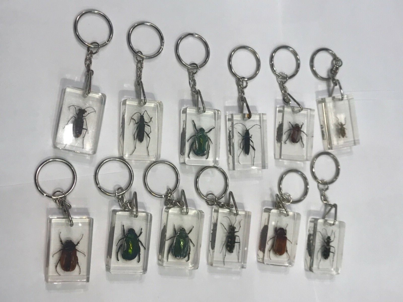 Insects Crystal Clear Keychain 12 Pcs 