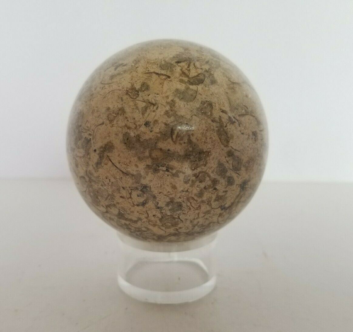 FOSSILIFEROUS Sphere (7.3cm) 2 3/4\