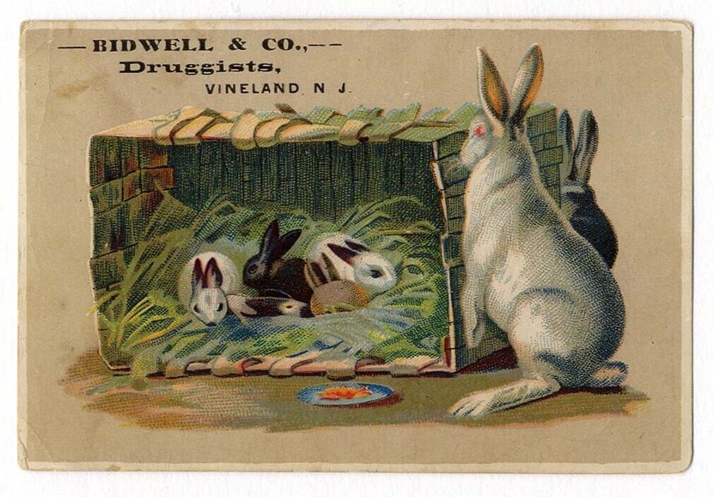 BUNNY RABBITS Vineland NJ BIDWELL DRUGGIST Victorian Trade Card 1880\'s