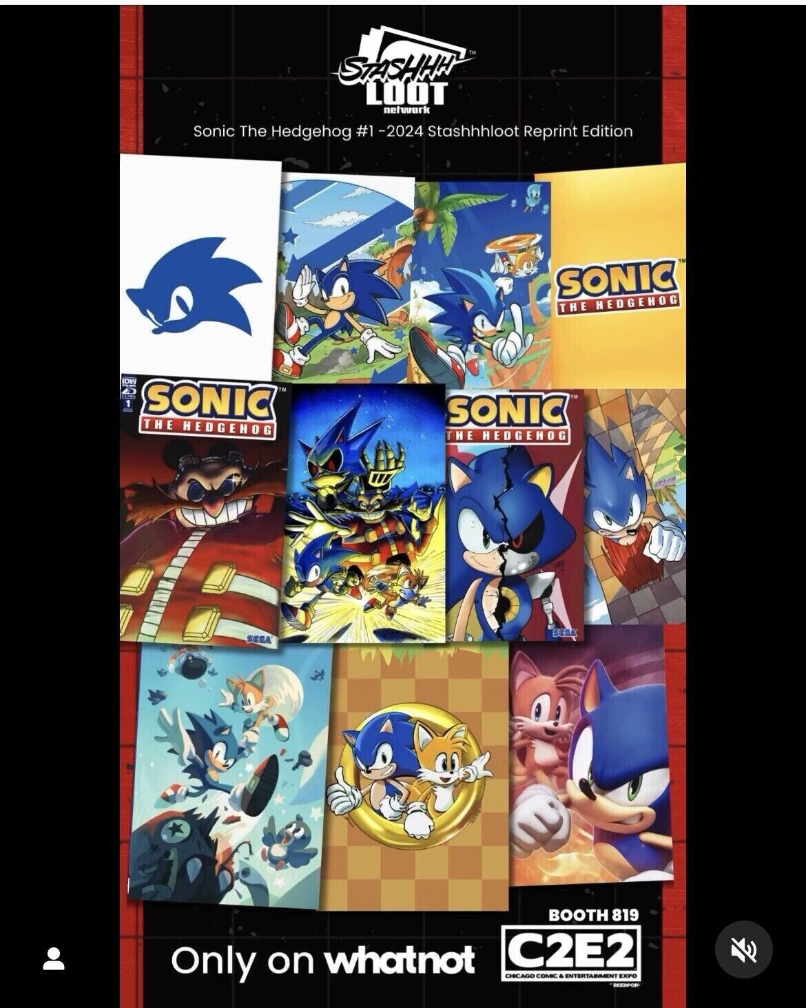 Sonic The Hedgehog IDW Comics - Stashhhloot Exclusive C2E2, ALL 15 VARIANTS