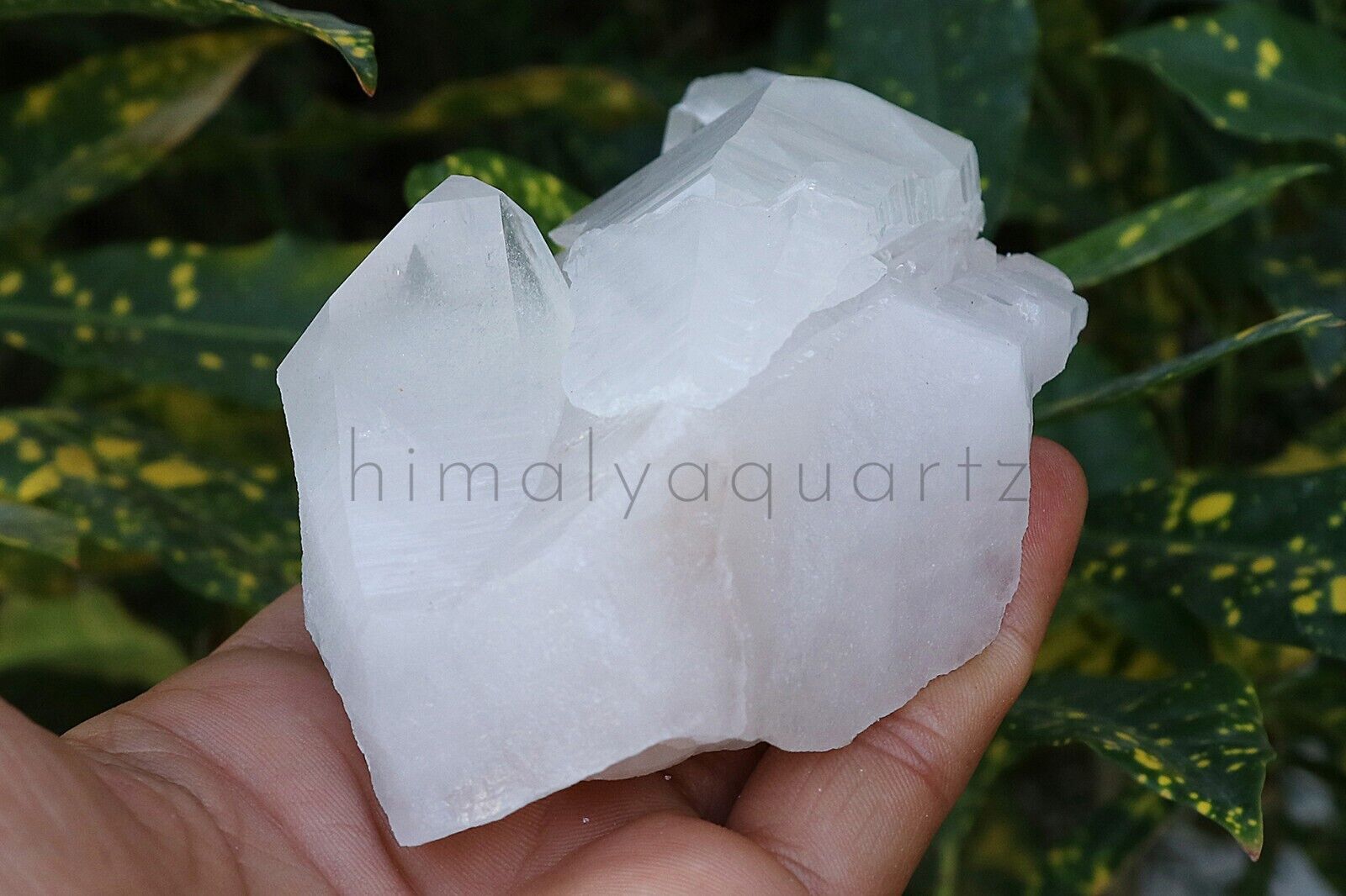 Beautiful White Samadhi Rare Quartz 386gm Rough Cluster Specimen Healing Mineral