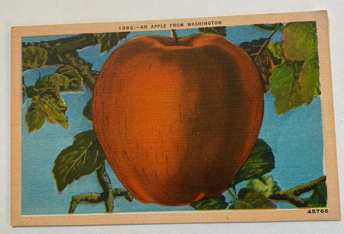 Vintage Linen Postcard ~ An Apple from Washington ~ WA