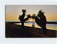 Postcard Sunset over beautiful Frenchmans Cove Jamaica Beach Texas USA picture