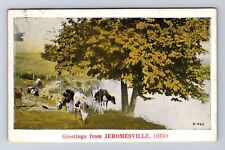 Jeromesville OH-Ohio, Scenic Greetings, Cattle, Antique, Vintage Postcard picture