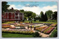 Postcard Iowa Pella Tulips in Full Bloom Tulip Time Linen 1931 D289 picture