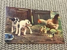1909 Valentine Artotype Series Dogs Chickens TRESPASSERS Sydney Hayes picture