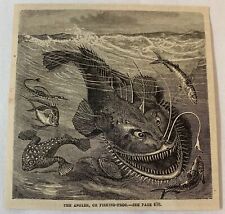 1877 magazine engraving~ THE ANGLER, OR FISHING FROG picture