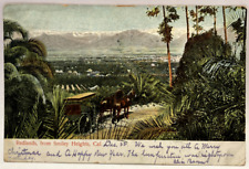 Redlands from Smiley Heights, Horses & Buggy, California CA Vintage Postcard picture