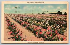 Vintage Postcard TX Tyler Rose Garden c1937 -6084 picture