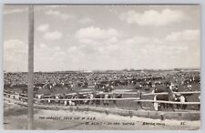 FEED LOT IN BRUSH COLORADO, CATTLE FARM, STATUTORY COUNTY CO RPPC c. 1953 picture