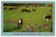 c1940's Greetings From Cedar Rapids Iowa IA Unposted Cows And Flowers Postcard picture