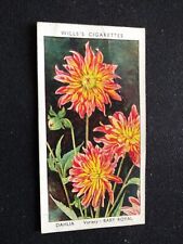 1939 Wills Garden Flowers Card # 16 Dahlia (VG/EX) picture