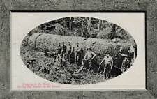 RPPC Lumberjacks Huge Log Big Timber West Picture Frame Border Real Photo P202 picture