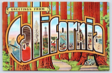 Postcard Linen California Big Letters Redwood Trees A19 picture