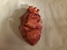 Silicone horror movie prop heart organ gore special effects guts splatter film picture