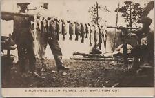 RPPC Postcard A Mornings Catch  Row Fish Penage Lake White Fish Ontario Canada picture