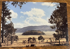Vintage postcard Valle Grande Los Alamos New Mexico NM Unposted picture