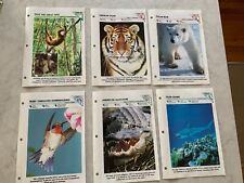 Wildlife Fact File cards, a mix, 1991 picture