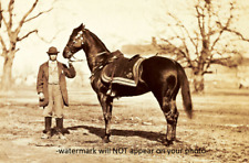 Ulysses S Grant War Horse PHOTO Cincinnati Civil War MARCH 1865 picture