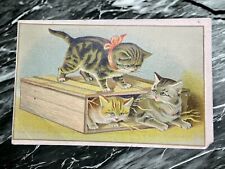 Antique Victorian Lion Coffee Trade Card, Adorable Kittens In A Box picture