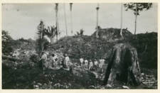 Among The Ruins British Honduras 1927 OLD PHOTO picture