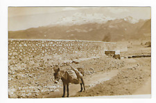 Vintage Postcard Volcan Iztaccihuatl, Mexico Donkey Mule RPPC FEMA 348 UNP picture