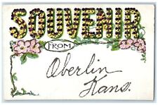 c1910s Embossed Flowers Scene Souvenir From Oberlin Kansas KS Unposted Postcard picture