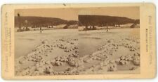 c1890's Real Photo Stereoview Biscuit Basin Yellowstone National Park picture