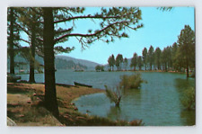 1950'S. LAKE HEMET, CALIF. POSTCARD RR19 picture
