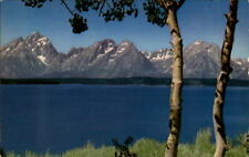 Grand Tetons Wyoming ~ Jackson Lake ~ Aspen trees ~ 1950s vintage postcard picture