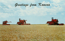 Greetings From Kansas Ellis County Wheat Harvest Vintage Postcard picture