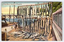 Two Hour Catch Of Kingfish Fish Fishing Florida Vintage Linen Postcard AF32 picture