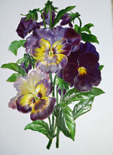 Victorian Antique Vintage Lovely Vintage Large Die Cut Embossed Purple Pansies picture