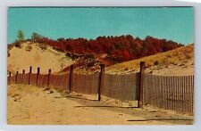 Chesterton IN-Indiana, Indiana Dunes State Park, Antique, Vintage Postcard picture