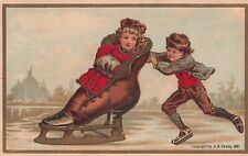 AB Seeley Ice Skating Lady Shoe Victorian Trade Card 1881 *Ab9b picture